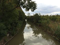 -上海长兴岛郊野公园