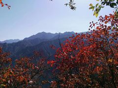 -秦岭风景区