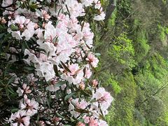 -萍乡武功山风景名胜区