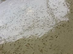 -徂徕山森林康养度假谷温泉