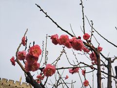 -北京明城墙遗址公园