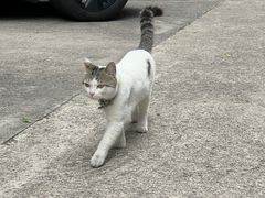 -星巴克臻选(深圳罗湖万象城店)