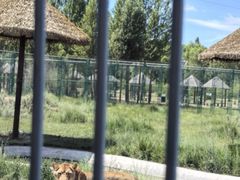 -鄂尔多斯野生动物园