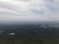 -紫金山山顶公园