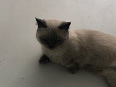 -一间摄影工作室(天安云谷店)