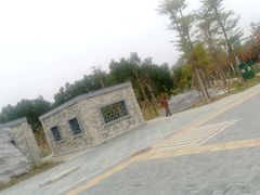 -大亚湾红树林城市湿地公园
