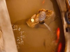 -璞禅足道(观音桥旗舰店)