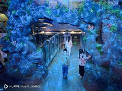 -陕西自然博物馆