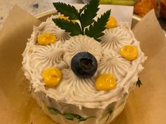 -野草莓自由市场