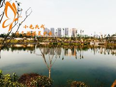 -枫香湖儿童公园