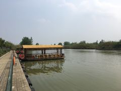 -泗洪洪泽湖湿地景区
