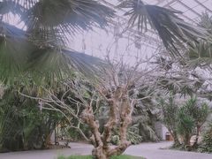 -龙达温泉生态城