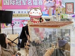 -鹏欣水游城