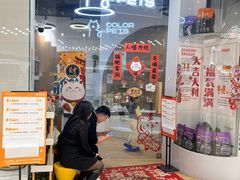 -COLOR PETS 撸猫馆·购猫·猫咖(长风大悦城店)