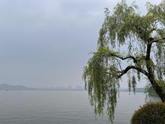 -浙江西子宾馆·牡丹厅