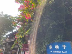 -星巴克臻选(成都宽窄巷子店)