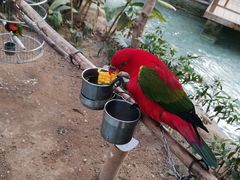 -南宫五洲植物乐园