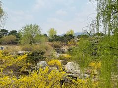 -北京西山国家森林公园