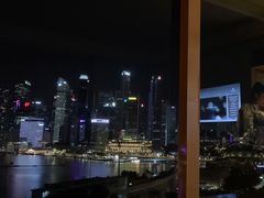 -新加坡丽思卡尔顿美年酒店