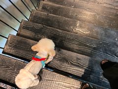 -J Create城市露营咖啡·简餐·宠物(上海动物园店)