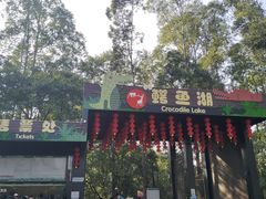 -三水森林公园
