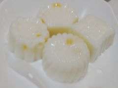 椰汁馬豆糕-豪宴海鲜酒家