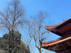 -南岳大庙