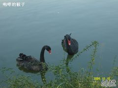 -杭州世外桃源君澜度假酒店