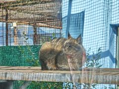 -青藏高原野生动物园