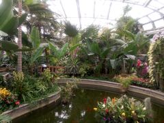 -北京植物园-展览温室