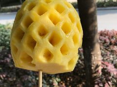 -禅泉冰粉(24城店)