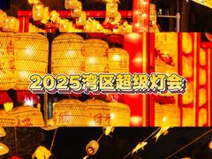 -欢乐海岸椰林沙滩-2025湾区超级灯会