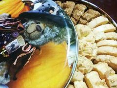 -珍妮曲奇聪明小熊(尖沙咀店)