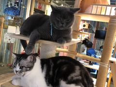-小时光咖啡馆(开森度假森林店)