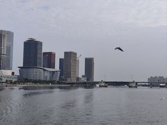 -海河外滩公园
