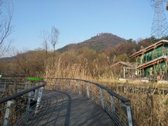 -西湖风景区-江洋畈生态公园