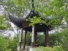-东山风景区(洞庭东山)