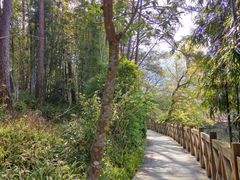 -广州市流溪河国家森林公园