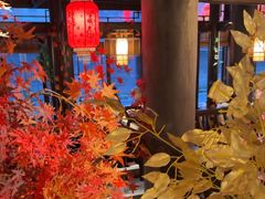 -蓉城老妈火锅(双林路店)