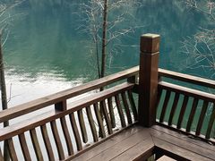 -鼎湖山风景区