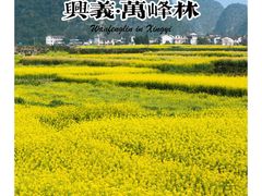 -万峰林风景区