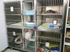 -佑安动物医院·全科·内窥镜中心(幸福巷店)