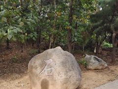 -府君山公园