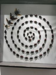 -酷嗒动物文化乐园(cutezoo西溪乐天城店)