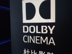-万达影城(汉街万达广场IMAX店)