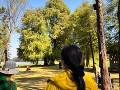 -南宁良凤江国家森林公园