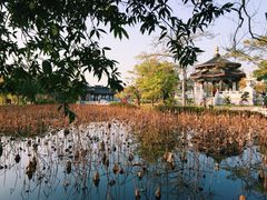 iphone_upload_pic-惠州西湖丰渚园