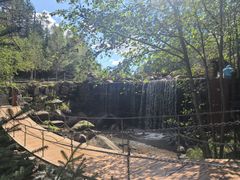 -汤旺河林海奇石景区