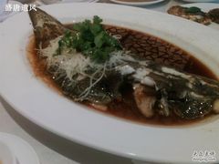 清蒸龙利鱼-顺德喜来登酒店·采悦轩