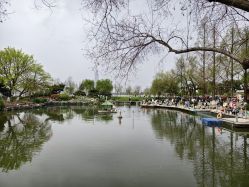 -玄武湖景区-情侣园游乐场